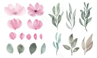 一套用于贺卡和请柬装饰的水彩花和叶子。