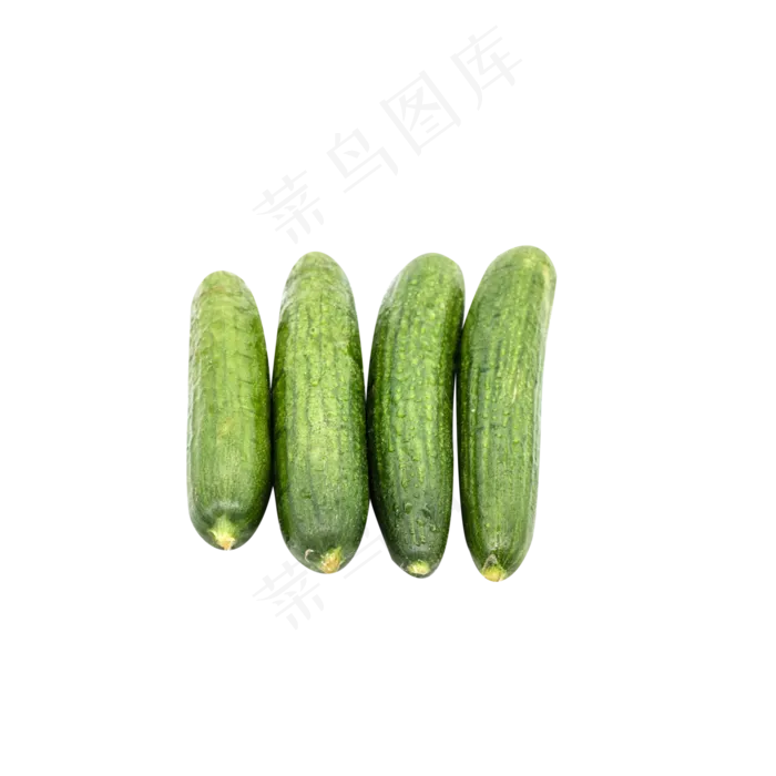 新鲜蔬菜丝瓜(2048X2048(DPI:132))