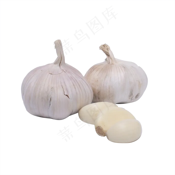 新鲜蒜头(2000*2000px 300 dpi )