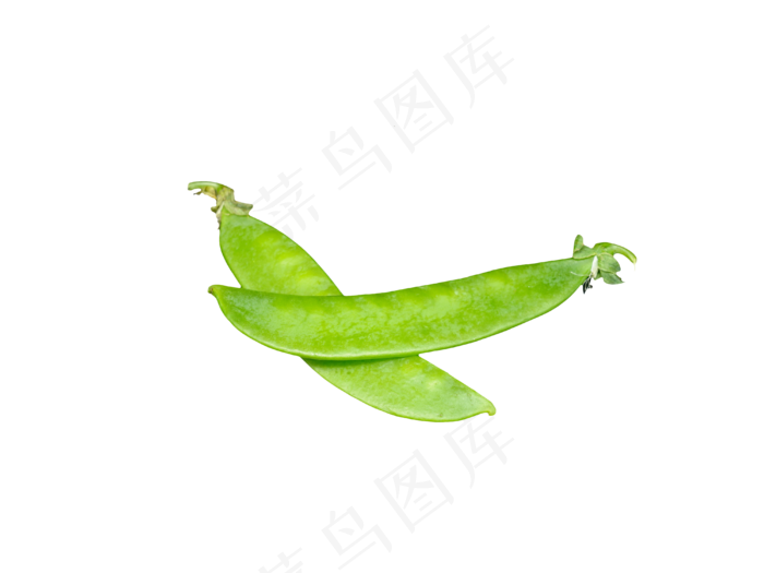 绿色扁豆豆角