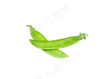 绿色扁豆豆角 绿色扁豆豆角