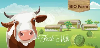 有褐色斑点和农场背景的奶牛。新鲜生物奶。