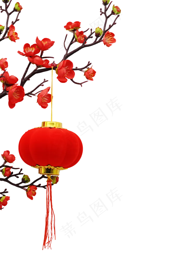 新年梅花小红灯笼(3000X4500(DPI:300))