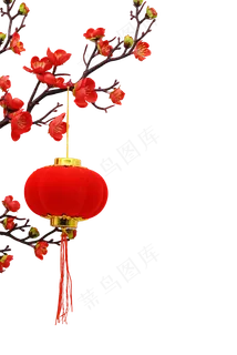新年梅花小红灯笼 新年梅花小红灯笼
