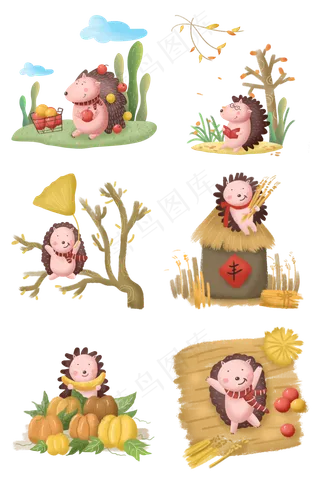 秋天秋日动物刺猬秋景稻田秋叶落