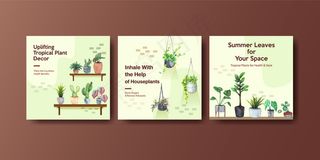 夏季植物和室内植物广告模板设计