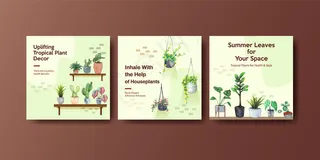 夏季植物和室内植物广告模板设计