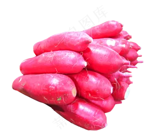 红皮白萝卜免扣