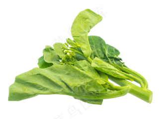 新鲜蔬菜菠菜