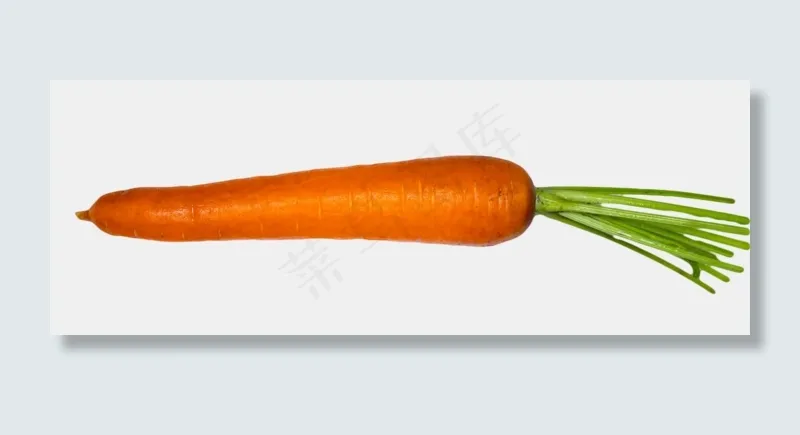 胡萝卜萝卜(2000X729(DPI:300))psd模版下载
