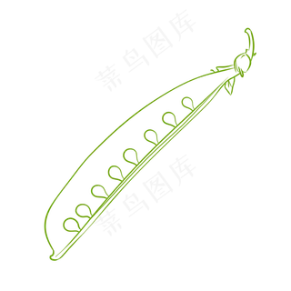 立秋手绘四季豆椒线稿