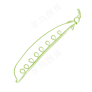 立秋手绘四季豆椒线稿