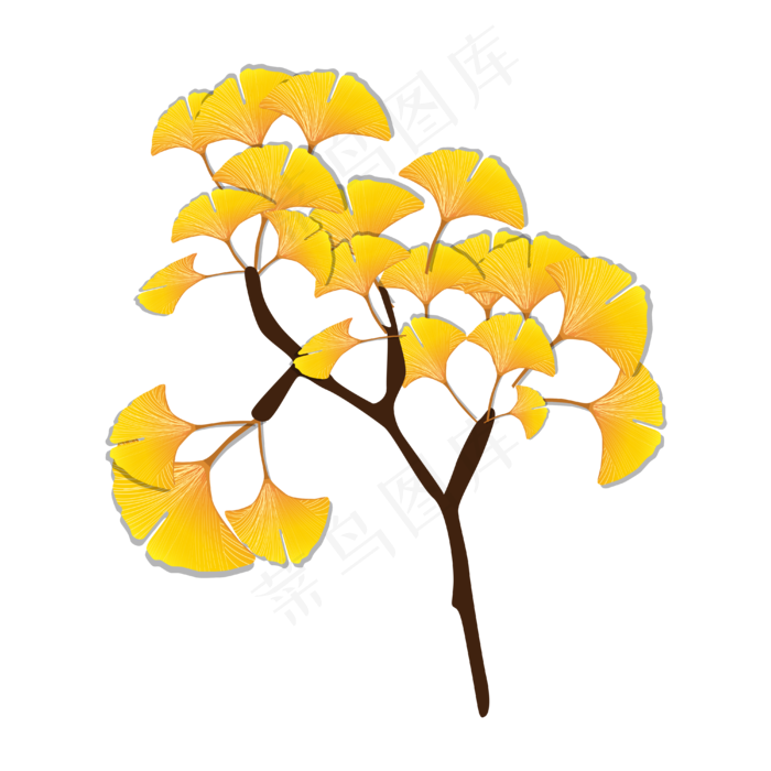 秋天金黄的银杏树叶子(4000*4000px 300 dpi )ai矢量模版下载