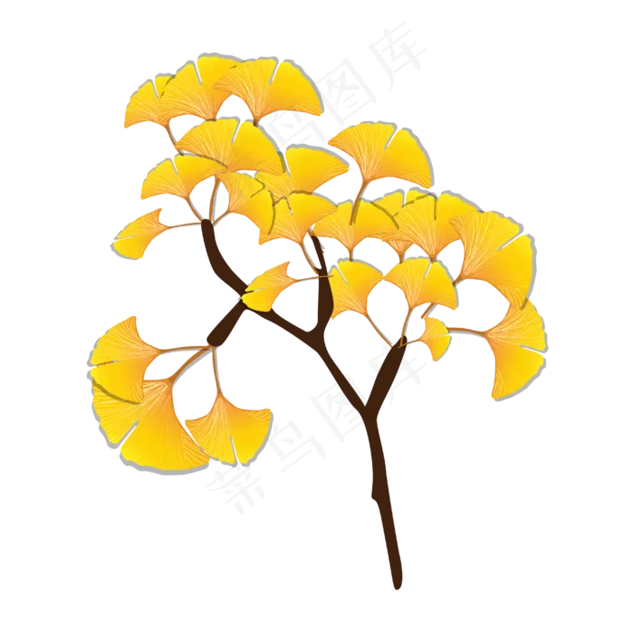秋天金黄的银杏树叶子(4000*4000px 300 dpi )ai矢量模版下载