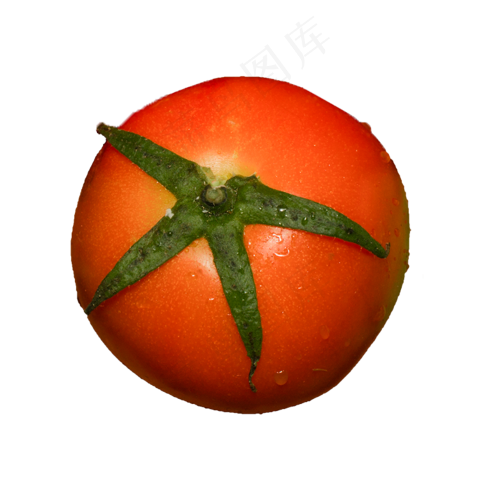 西红柿蔬菜（png免抠）(2000X2000(DPI:72))psd模版下载