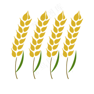 手绘秋天金黄的麦穗系列二