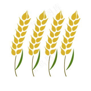 手绘秋天金黄的麦穗系列二