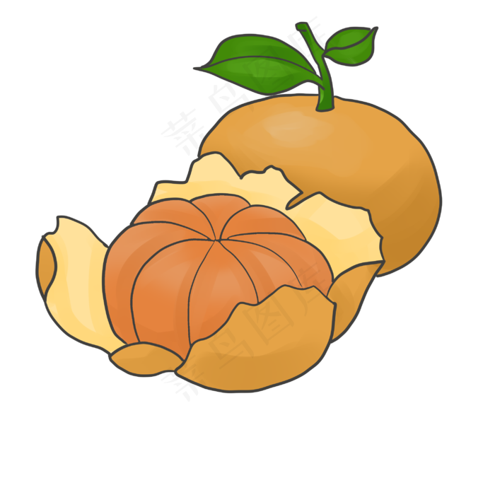 水果橘子手绘插画