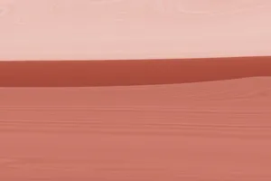 渐变红色流体涂料背景