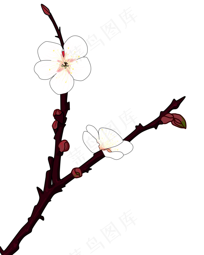 冬梅梅花花枝(2000X2500(DPI:300))psd模版下载