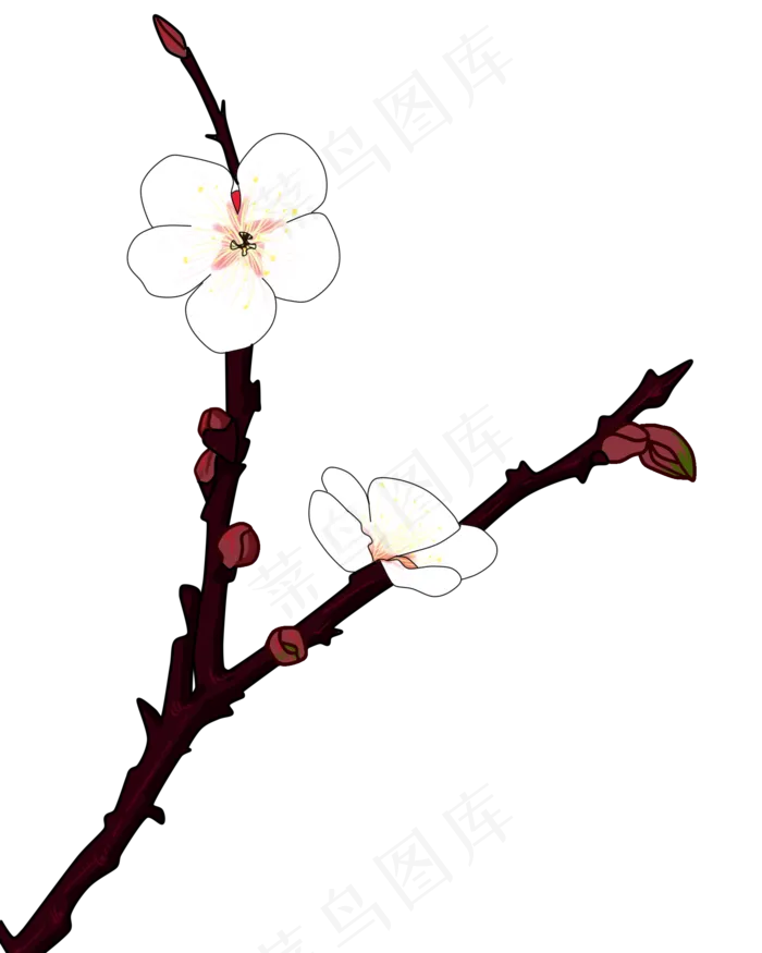 冬梅梅花花枝(2000X2500(DPI:300))psd模版下载