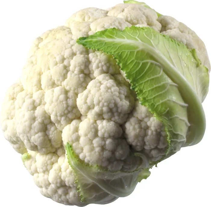 花菜 花椰菜psd模版下载