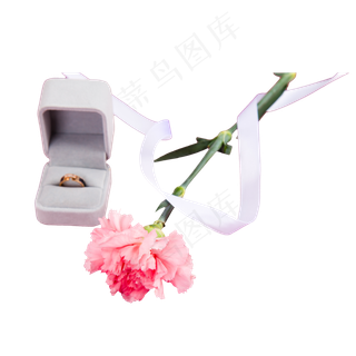一枝花朵丝带和一盒戒指