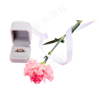 一枝花朵丝带和一盒戒指