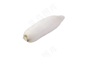 营养美味白萝卜好吃