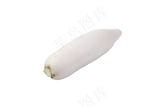 营养美味白萝卜好吃