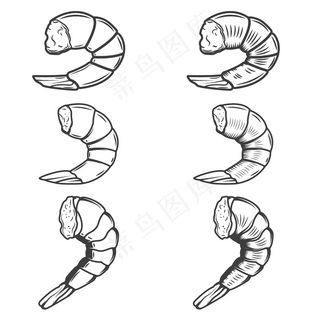 白色背景的虾尾。海鲜。标识、徽章、海报、菜单元素。
