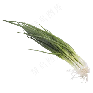 一把绿色香葱蔬菜实拍