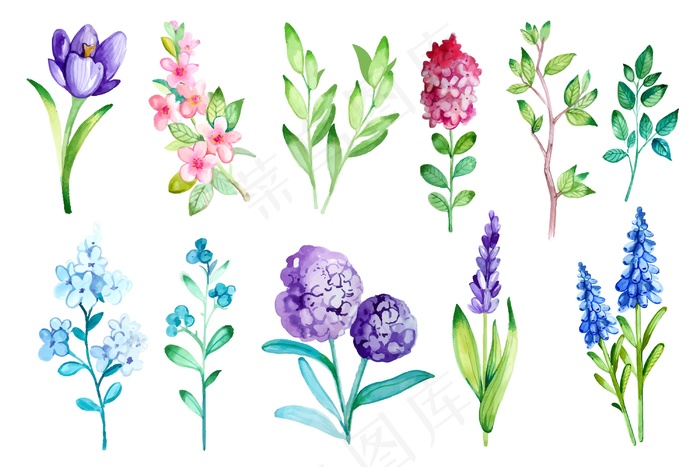 春花系列eps,ai矢量模版下载