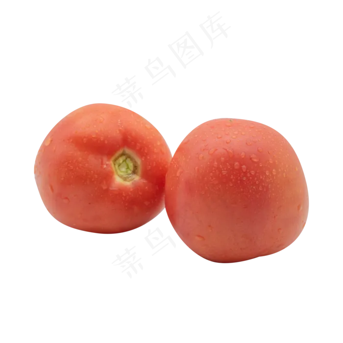 两个西红柿蔬菜(2000X2000(DPI:300))