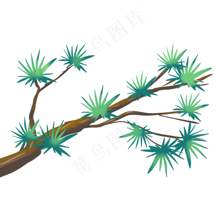 重阳节植物松枝(2000X2000(DPI:300))psd模版下载