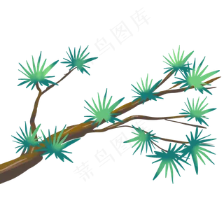 重阳节植物松枝