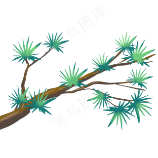 重阳节植物松枝