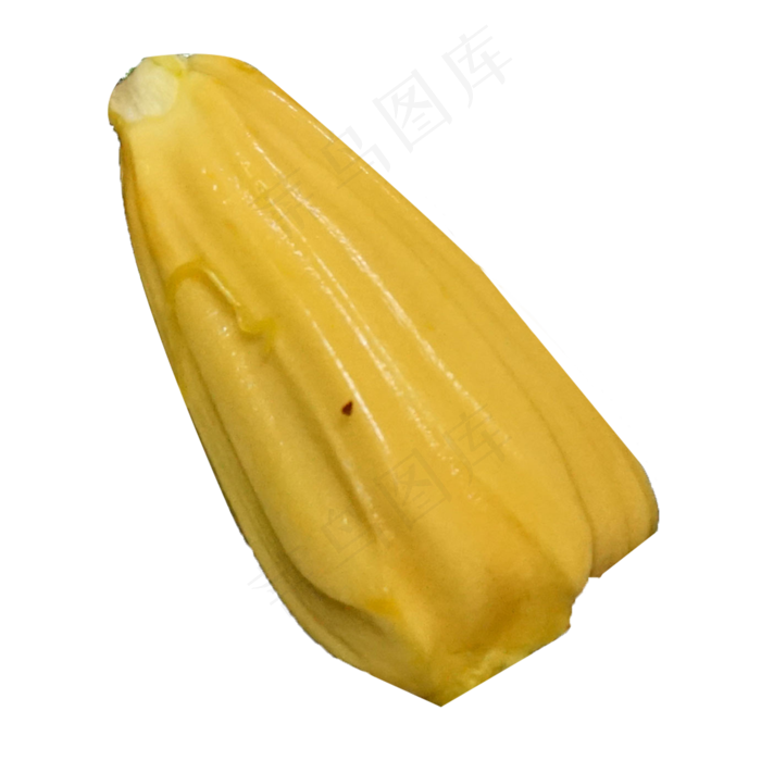 一个新鲜美味的菠萝蜜(2000X2000(DPI:300))psd模版下载