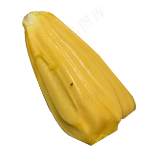 一个新鲜美味的菠萝蜜