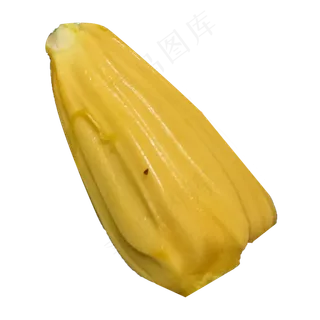 一个新鲜美味的菠萝蜜