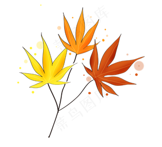 立秋古风三色枫叶