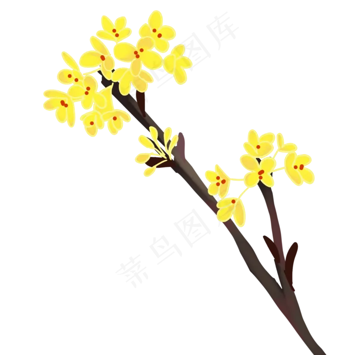 秋天桂花树枝(2000X2000(DPI:300))psd模版下载