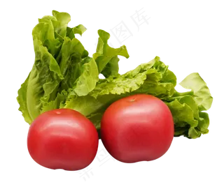 西红柿生菜蔬菜