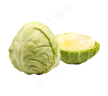 绿色蔬菜白菜