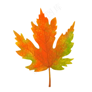 黄色枫叶秋天创意手绘