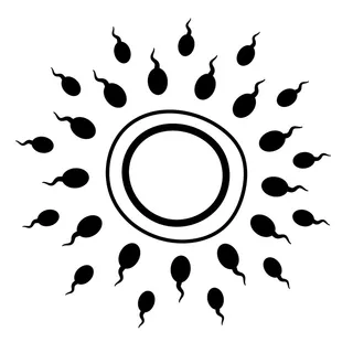 精子倾向于卵子。受精、怀孕、受孕的概念。妇科、妇女问题、不孕症、分娩、新生活。白色背景上的矢量图