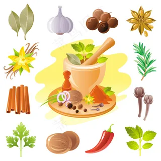 香料和草药图标集。食品调味料插图。 香料和草药图标集。食品调味料插图。