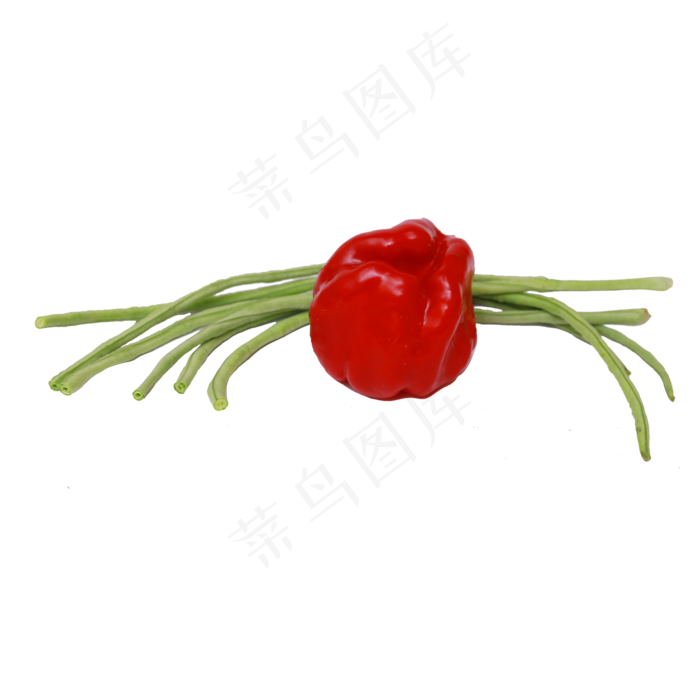 灯笼椒和长豆角(2000X1390(DPI:300))