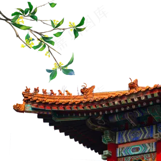 中秋桂花屋檐 中秋桂花屋檐