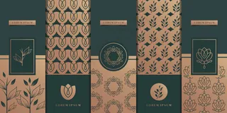 豪华金色包装设计，花卉，自然，花卉，橄榄树，图案。